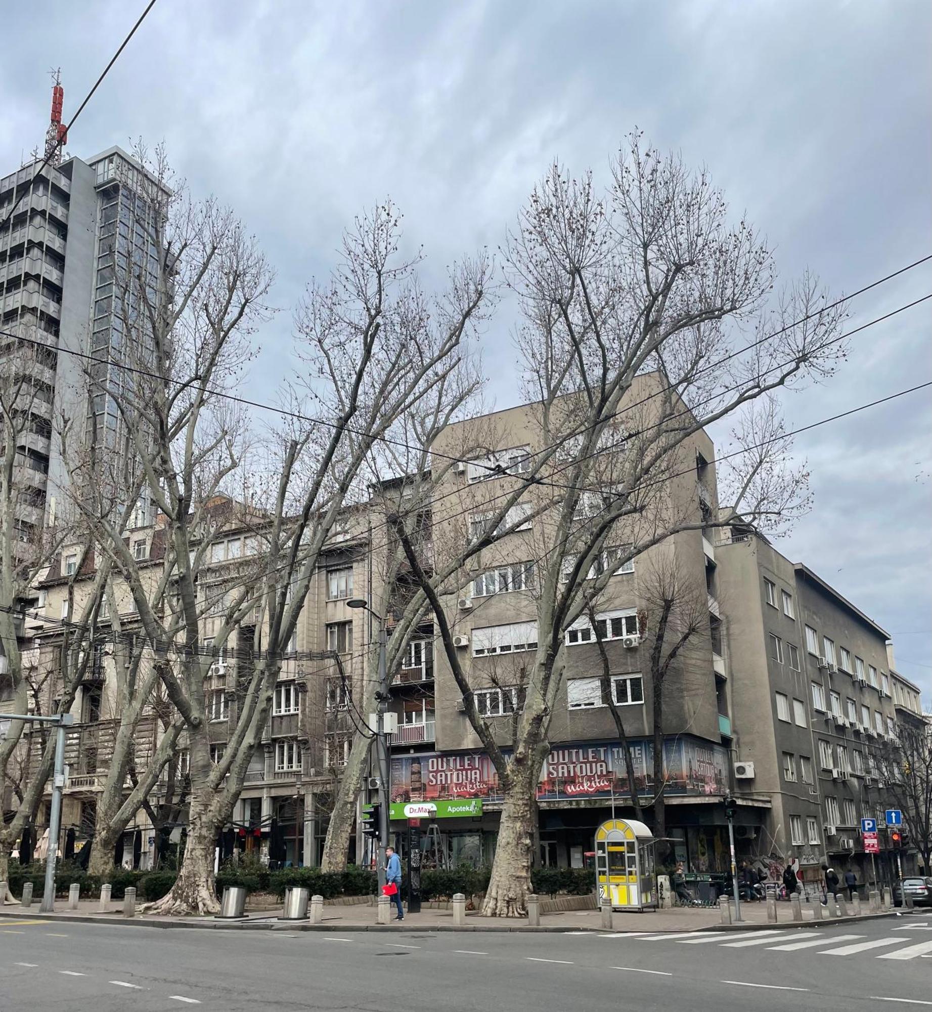 Alexandar13 Daire Belgrad Dış mekan fotoğraf