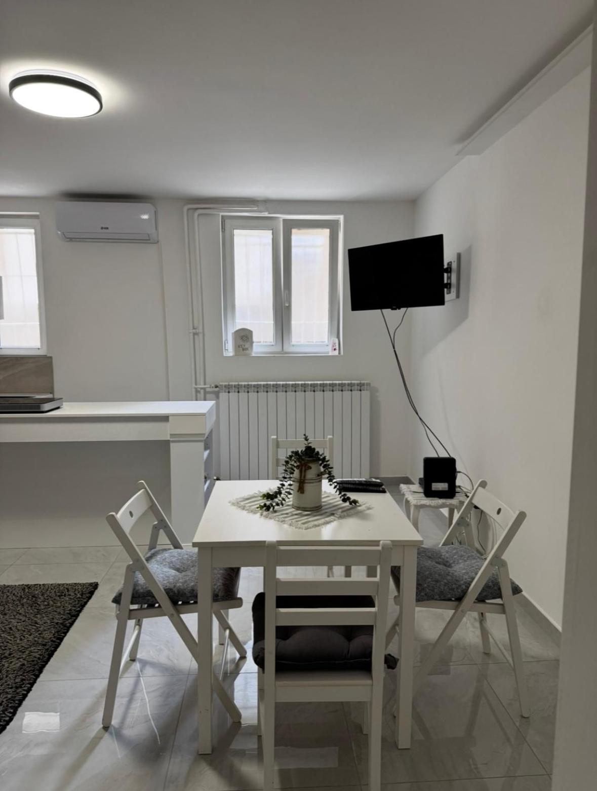 Alexandar13 Daire Belgrad Dış mekan fotoğraf
